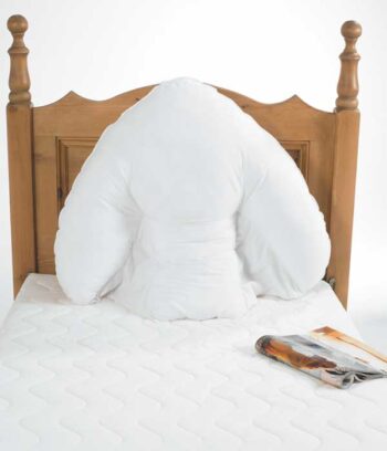Batwing Pillow